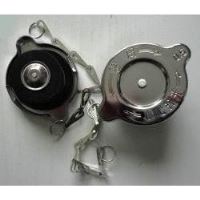 Buson radiator t.n. U650