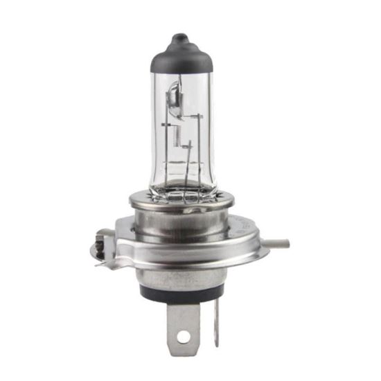Bec H4 12V 60/55W P43, 01268 Amio