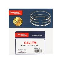 Segmenti motor Saviem, FIAT, U445, fi 102mm, 2.5+2.5+5mm, BK17136