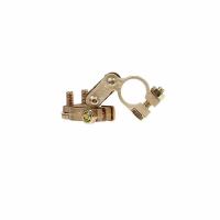 Set 2 borne acumulator cupru 509.00 Alca 
