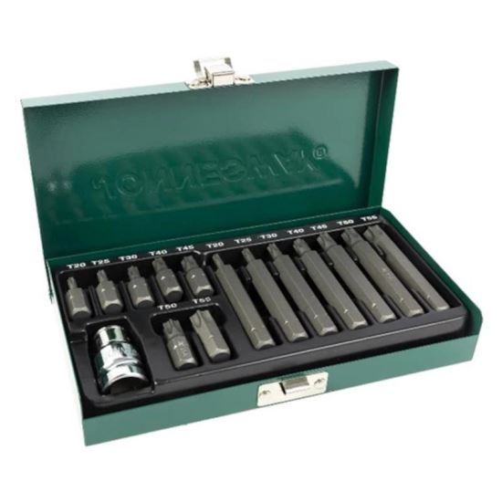 Trusa biti 15 bucati, torx 6 stea T20-T55 GUZ10413 15T 