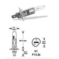 Bec H1 24V/70W Lohuis