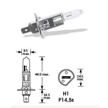 Bec H1 24V/70W Lohuis