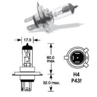 Bec H4 12V 60/55W P43 L01661 Trifa
