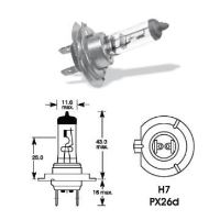 Bec H7 24V/70W L01617 Trifa