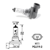 Bec H11 12V/55W Selum