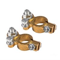 Set 2 borne acumulator cupru, fixare cu surub, 12-24V, 800A, 04392 Amio