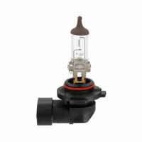 Bec H10 12V/42W PY20d 02010-005 Trifa